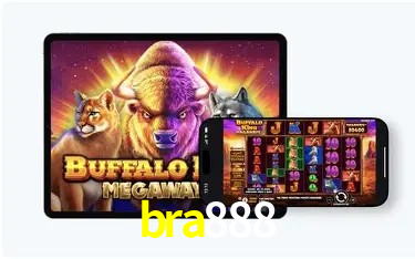 Sistemas de Segurança bra888